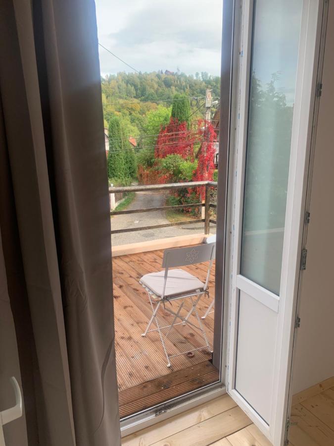 Codreanu Guest house