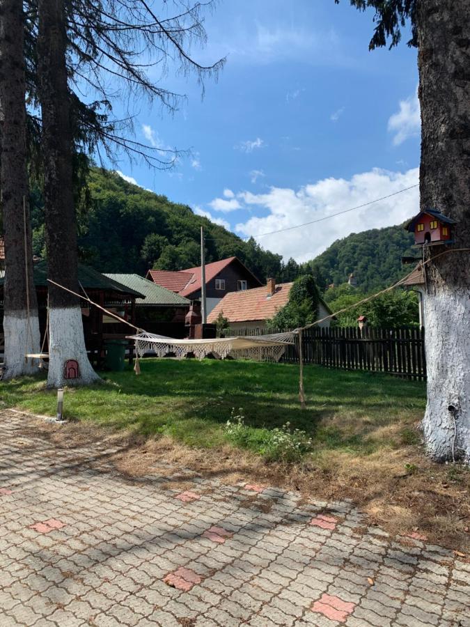 Codreanu * Bran (Brasov)