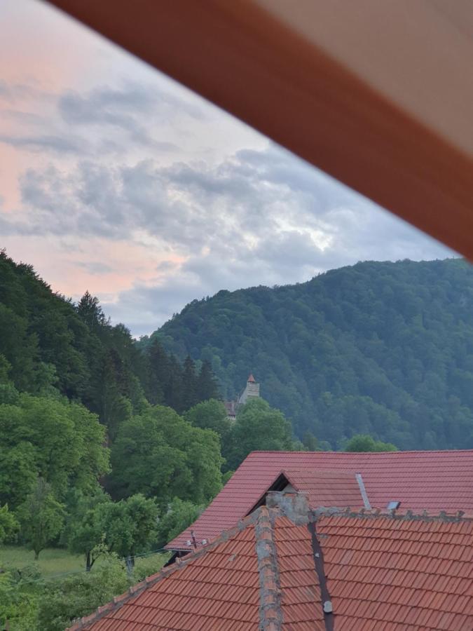 Affittacamere Codreanu Bran (Brasov)