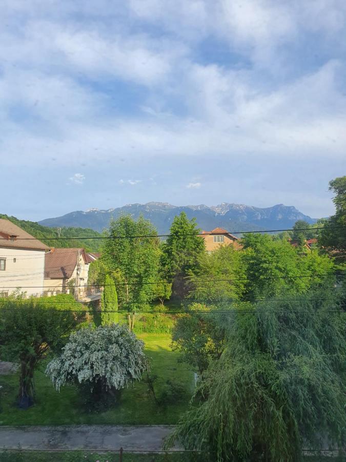 Codreanu Bran (Brasov)