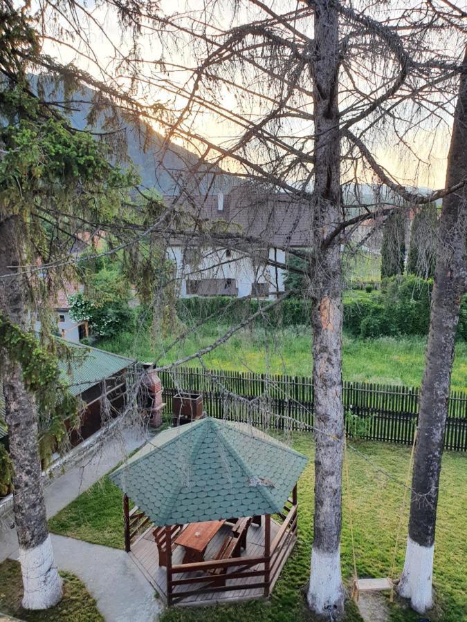 Codreanu * Bran (Brasov)
